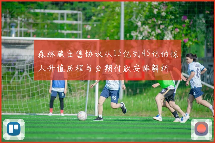 森林狼出售协议从15亿到45亿的惊人升值历程与分期付款安排解析